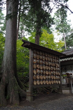 なるほどね 猿丸神社の 絵馬は猿