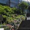 時の花 高速バス停 誘いて