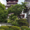 梅雨晴れ間 緑潤い 散歩かな
