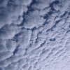 秋本番 空一面の うろこ雲