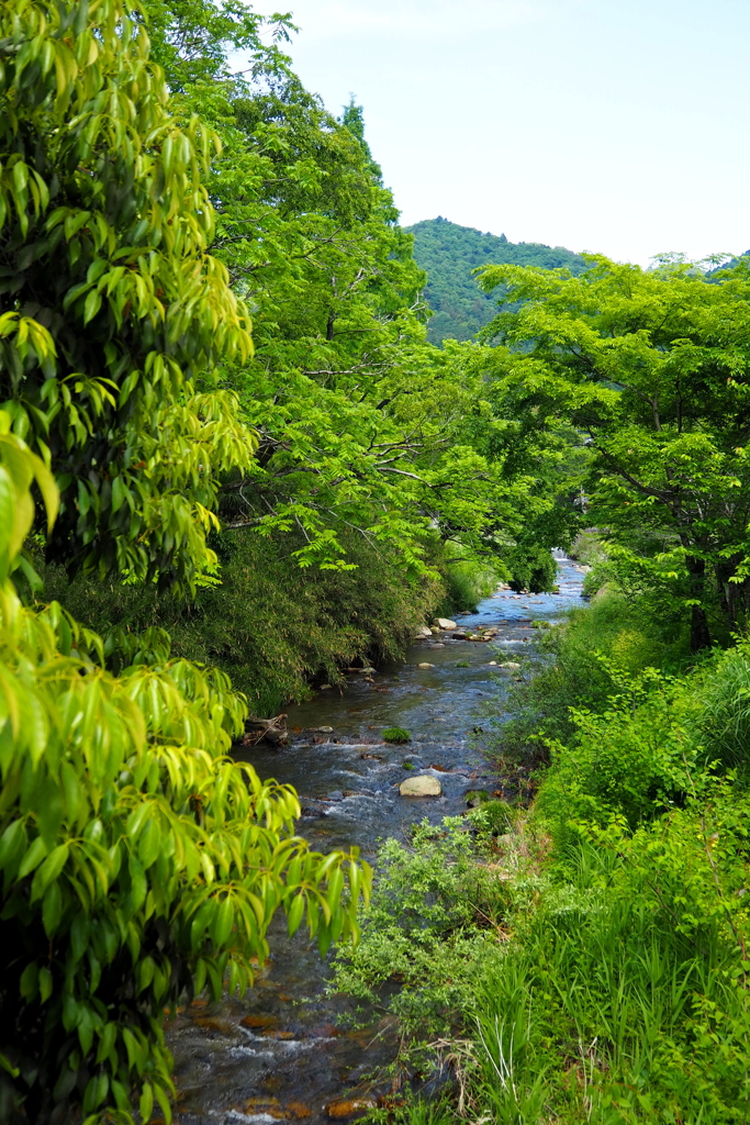 目と耳に 川のせせらぎ ここちよし