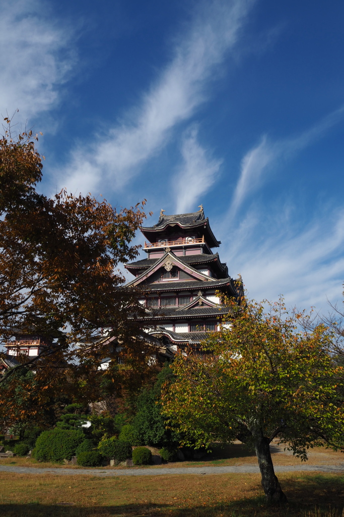 地元城 伏見桃山 秋姿