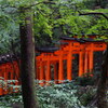 朱と緑 お山巡りは 美しき