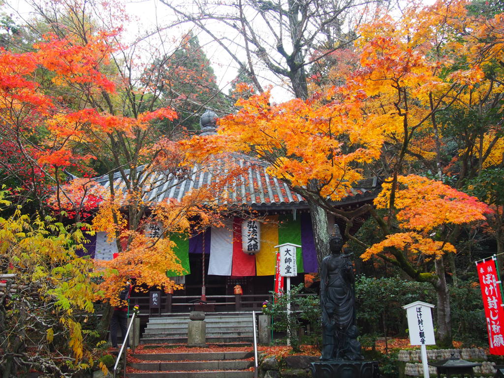 赤黄色 彩り深し 大師堂