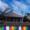 元旦や 心機一転 五福めぐり ④大黒寺