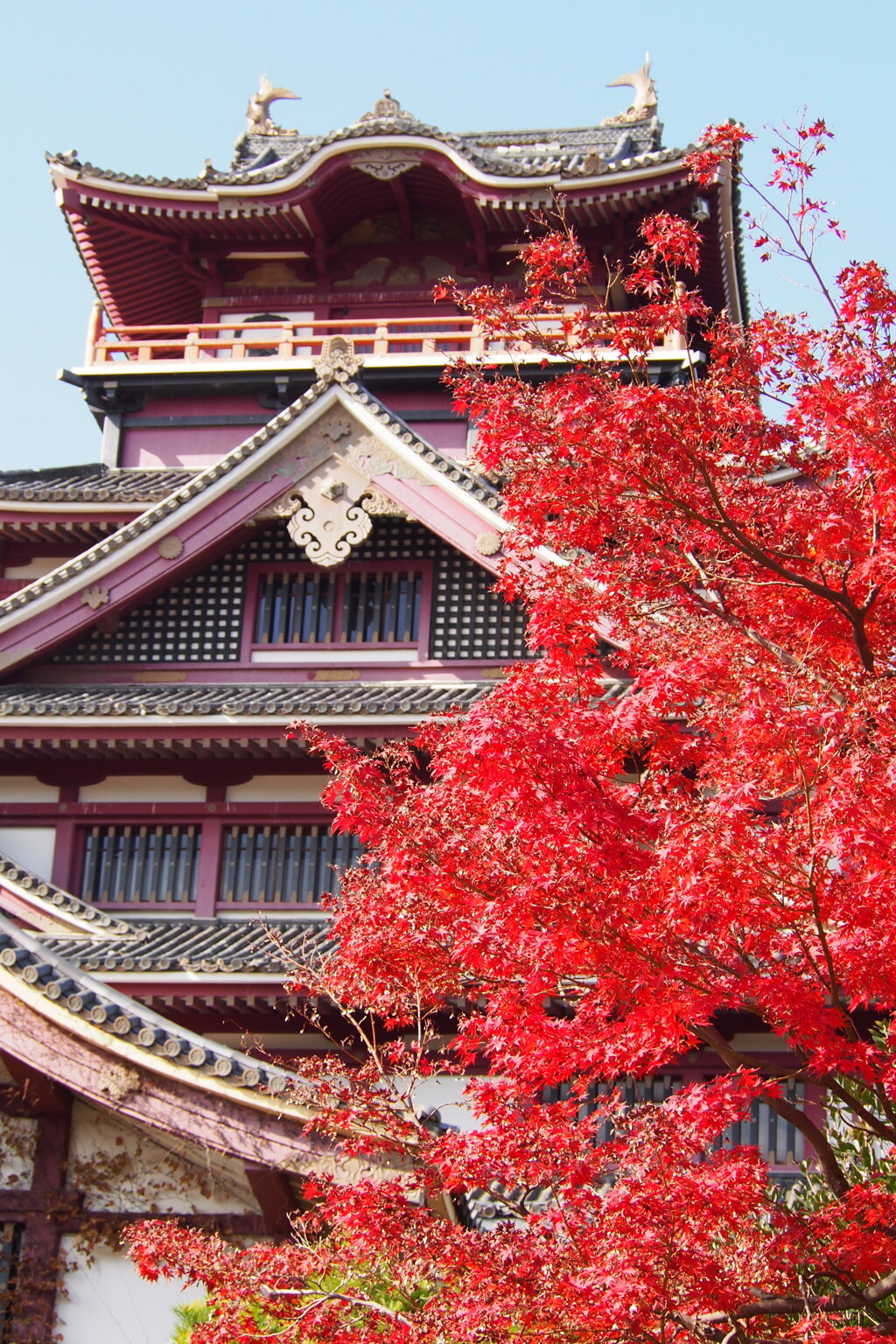 伏見城 撮らずにおれぬ 秋景色