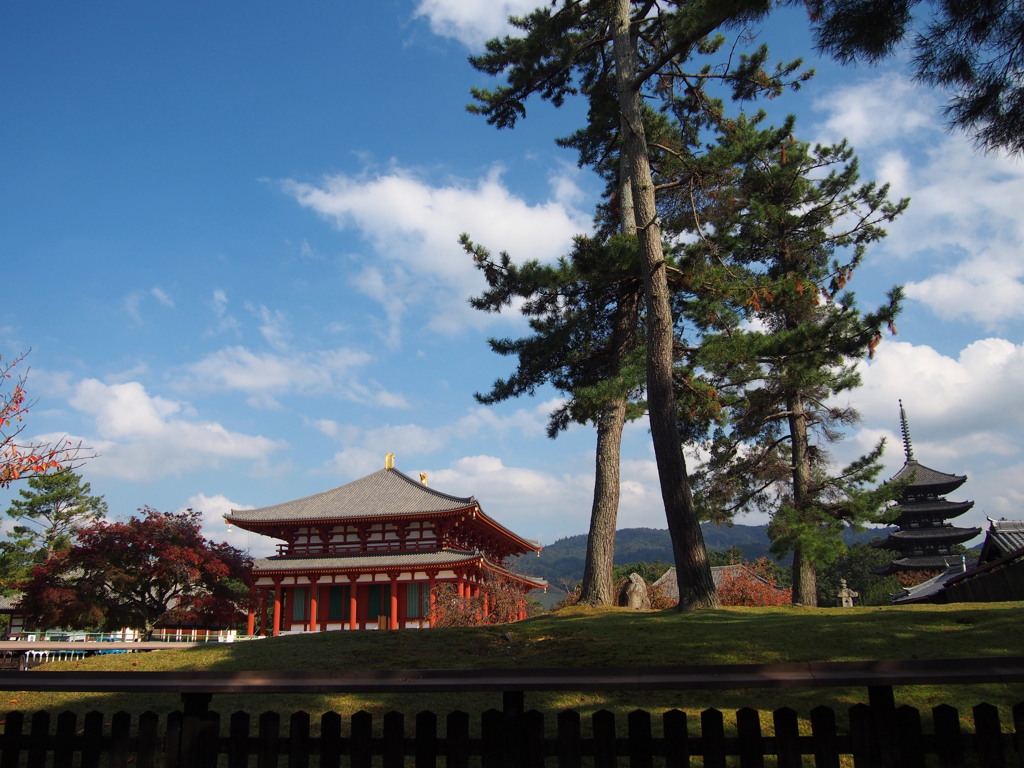 興福寺 中金堂（ちゅうこんどう）の 秋姿