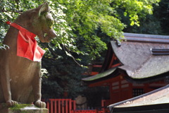 奥社（おくやしろ） 参拝見守り 神の使者