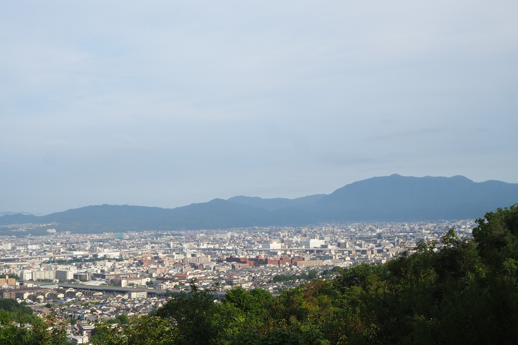 清々し 始まる朝の 陽を浴びて