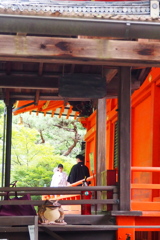 前撮りの 二人を祝う かえるあり
