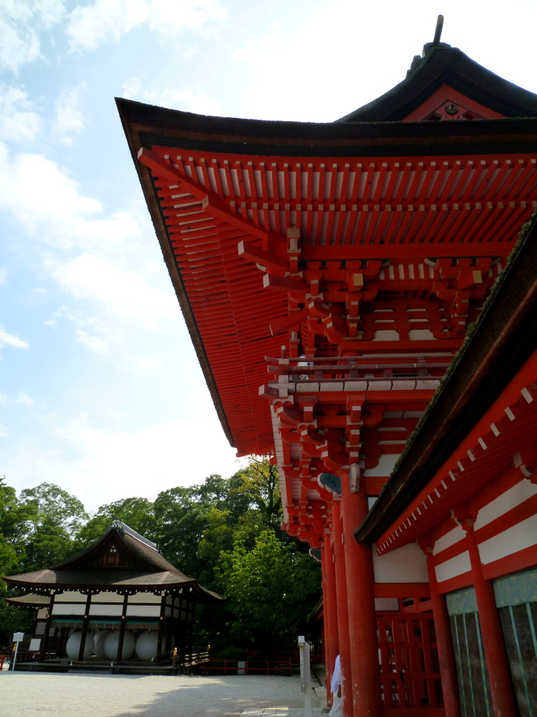 下鴨に 晩夏の光り 門見あぐ