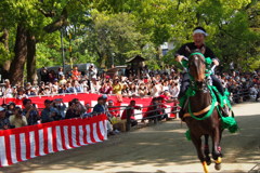 駈馬や新緑境内風となり