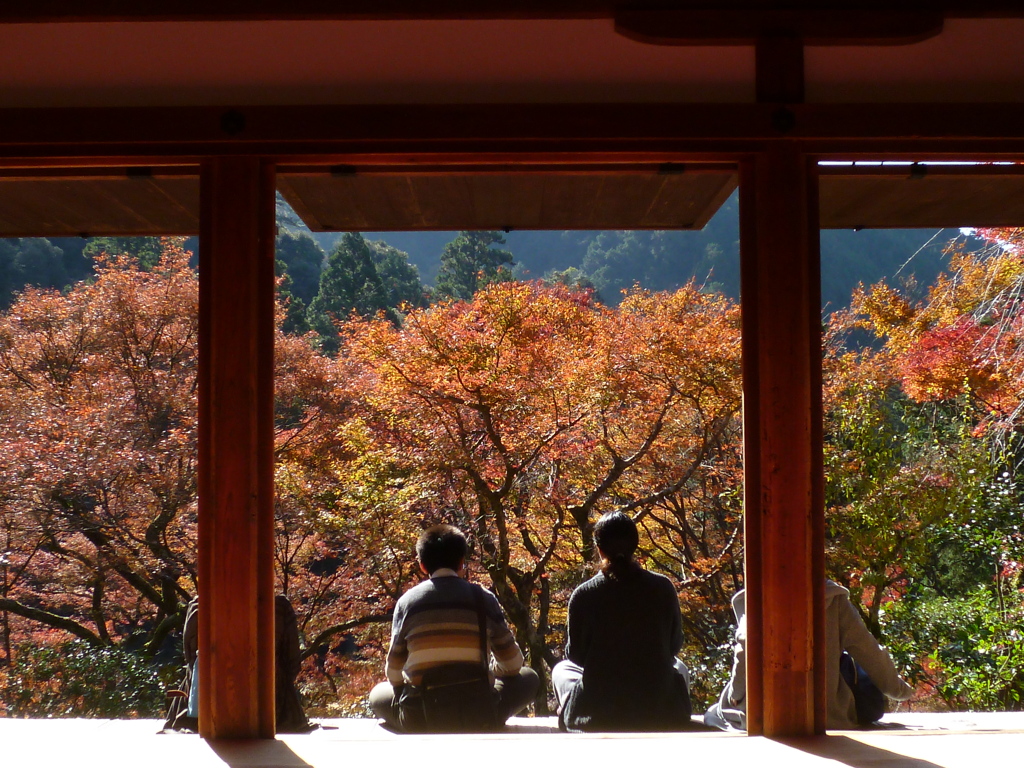 縁側で しばし鑑賞 秋景色 By Chigiumi Id 写真共有サイト Photohito