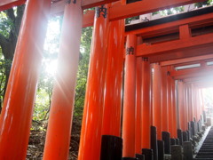 秋近し 鳥居合い間に 朝陽さす