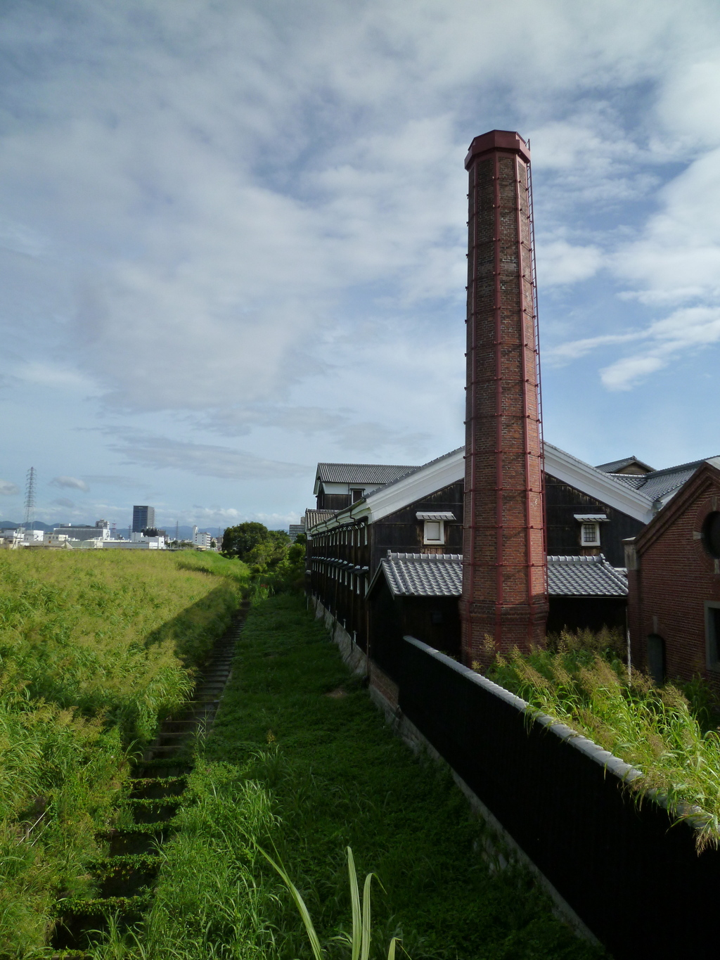 夏草に 影を落とすや 京の蔵