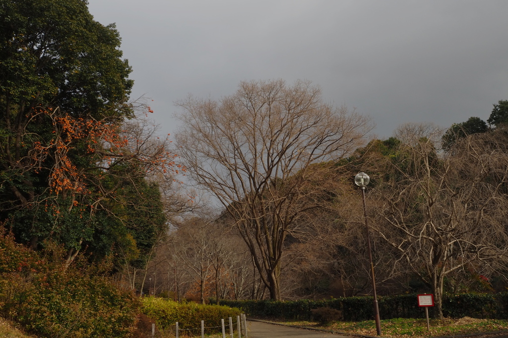 冬公園 薄日なれども 人おらず