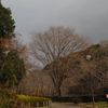 冬公園 薄日なれども 人おらず