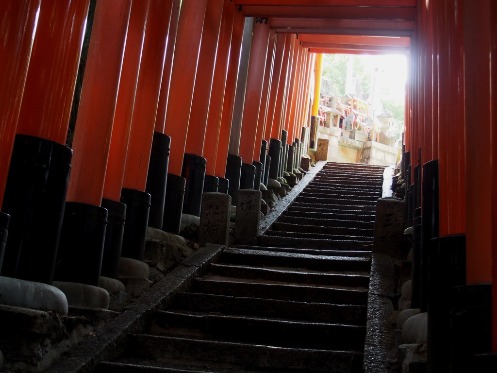 山巡りトンネル抜ければ休憩所