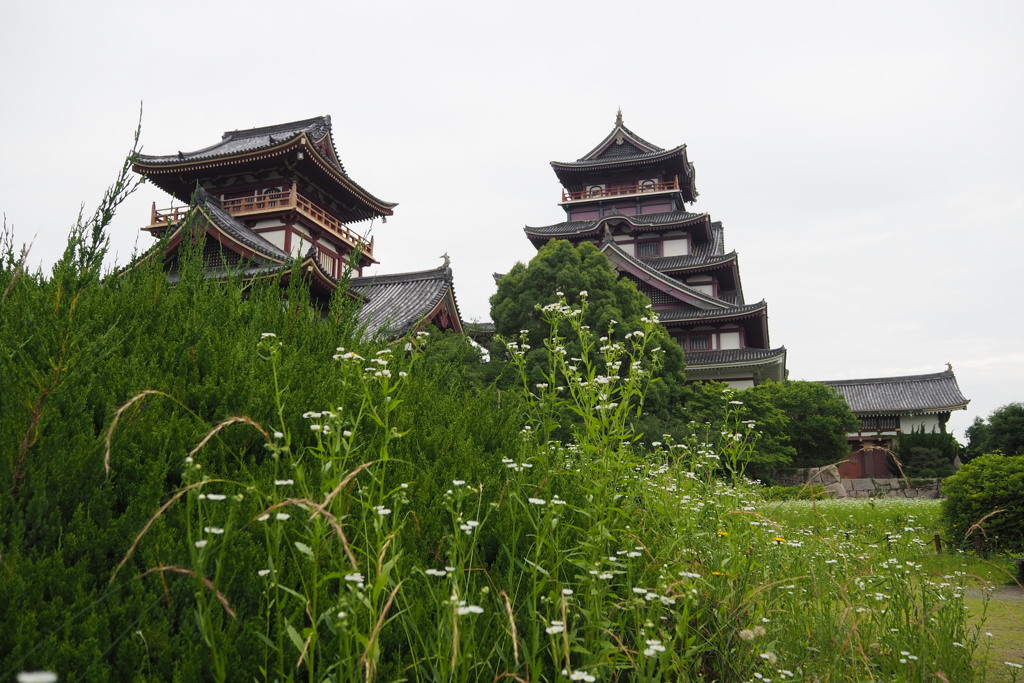 芒種候 野草茂れる 伏見城