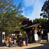 やわらかな 秋の陽ざしの 七五三