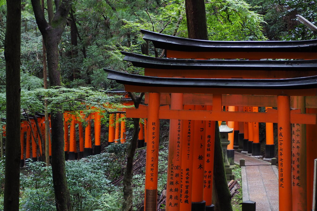 人おらず 静かな秋や 山巡り