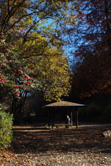 ここちよし 初冬東屋 日向ぼこ