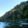 嵐山 見頃となりて 舟あまた