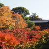 秋盛り 通天橋は 色の波