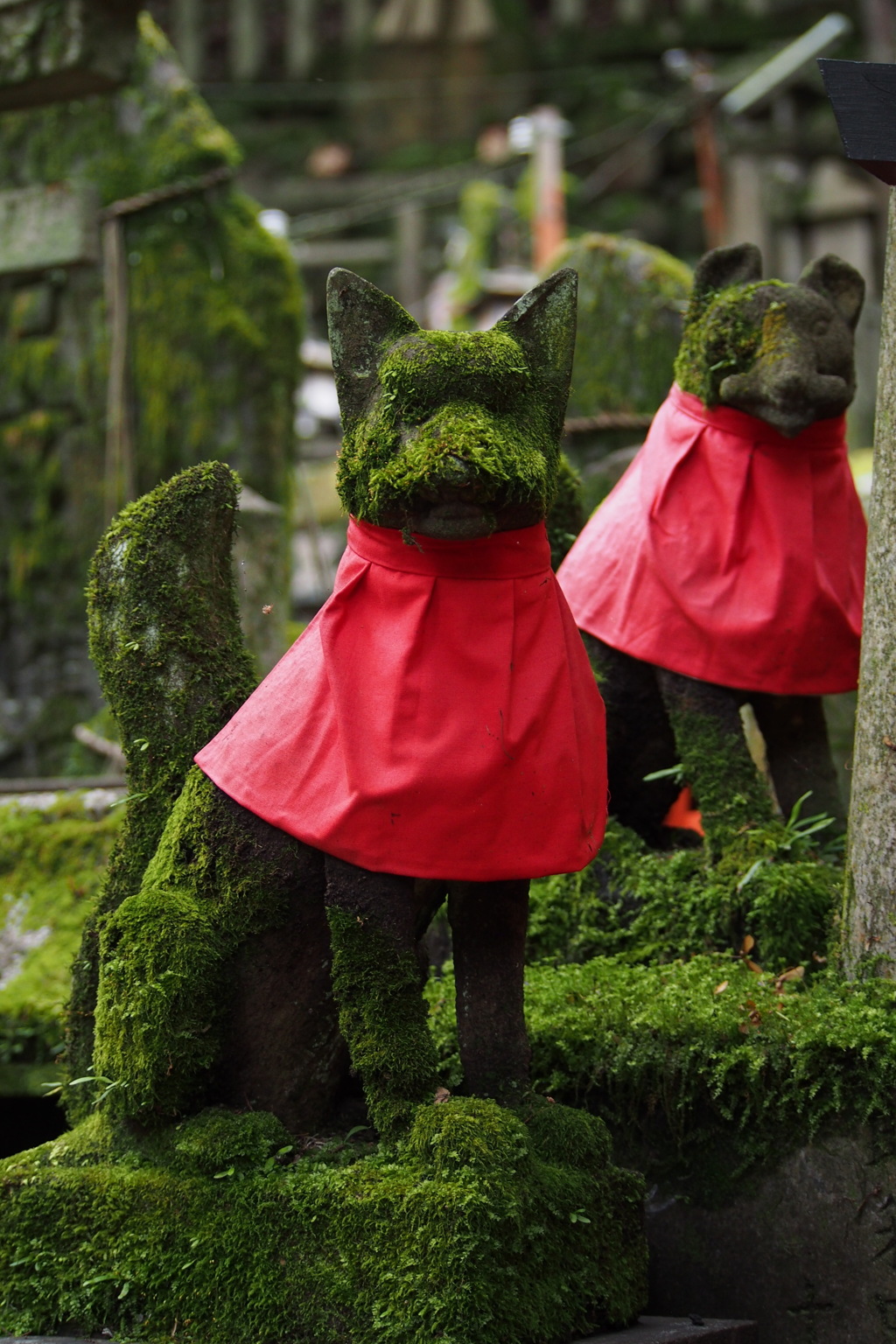 苔むして 神の使いは 兄弟か