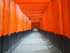 立秋や 千本鳥居に 物思う