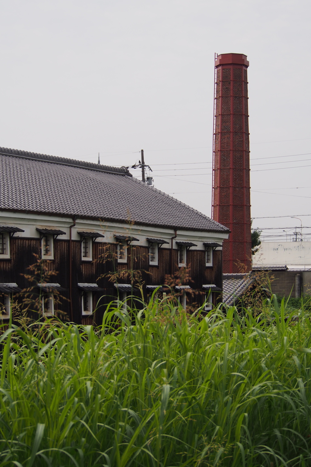 酒蔵の 草勢いて 夏景色