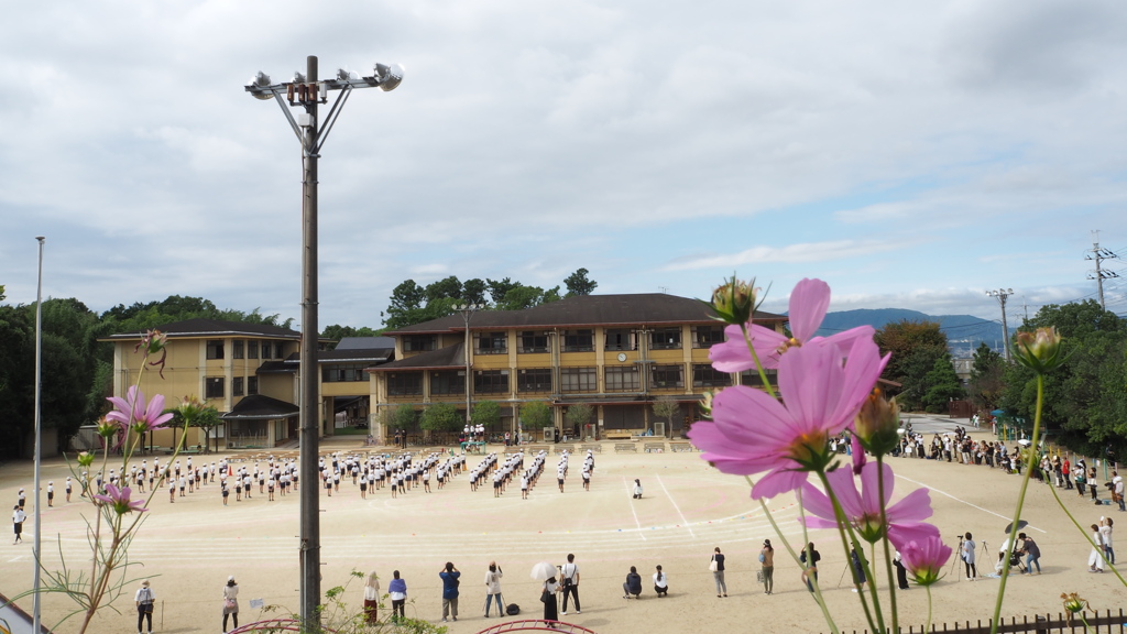 コロナ禍の 運動会は 学年別