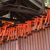 瀧囲い 祈願の鳥居 数あまた