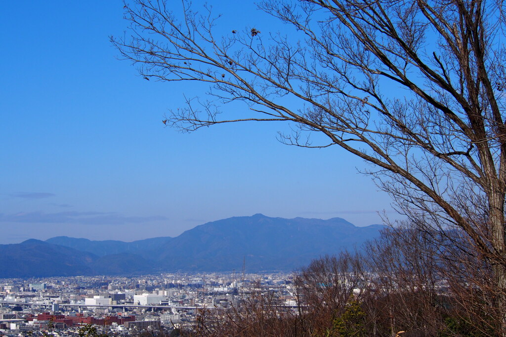 冬晴れや 視界くっきり 京景色