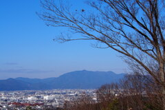 冬晴れや 視界くっきり 京景色