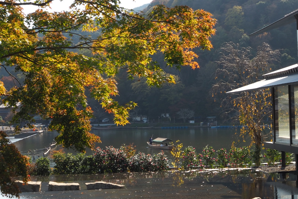 紅葉越し これぞ鉄板 嵐山