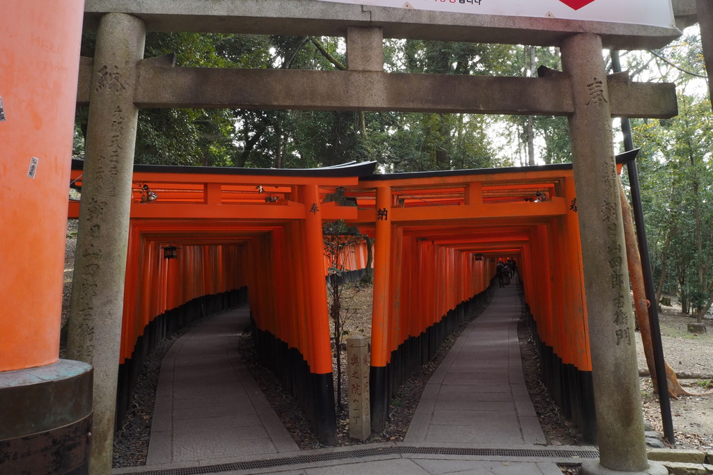 始発点 鳥居トンネル 右左