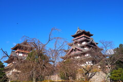 冬晴れに お城くっきり 凛として