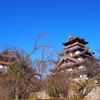 冬晴れに お城くっきり 凛として