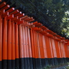 外で見る 鳥居縦列 三角形