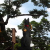 梅雨晴れ間 後ろ姿も 様になり