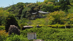 緑映ゆ 書院前庭 由緒あり