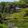緑映ゆ 書院前庭 由緒あり
