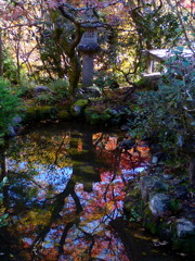坪の池 水面に映るは 秋の色