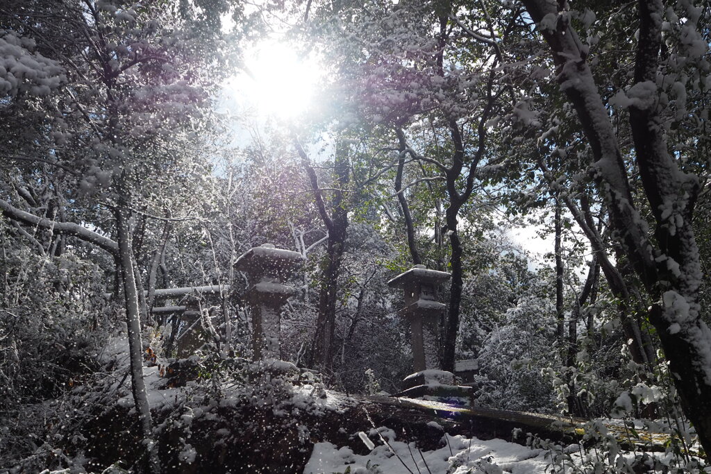 風吹けば 木々の粉雪 舞い落ちて