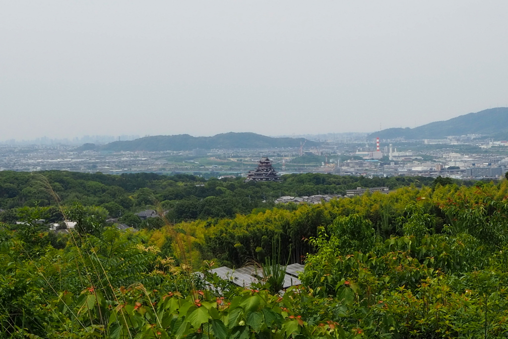 初夏景色 大岩山より 伏見城