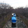 冬最中（ふゆさなか）十石舟も 春を待つ