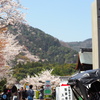 嵐山 お寺もお山も 花見時
