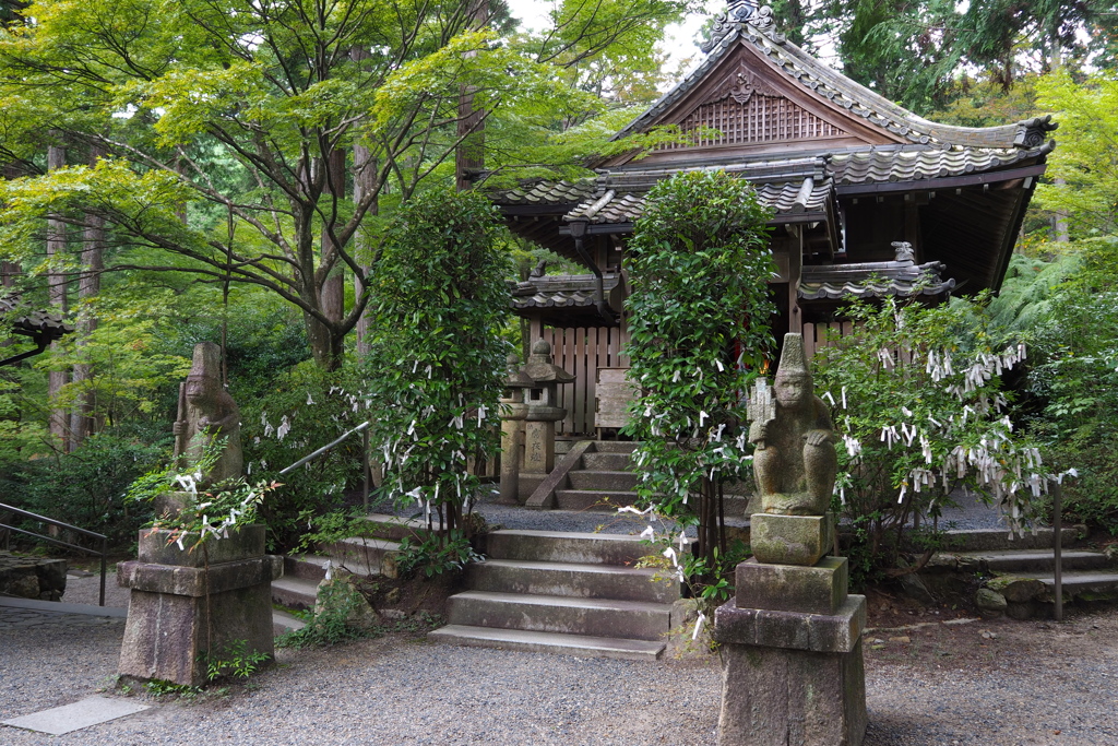 紅葉知る 猿丸神社は 青もみじ