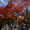 お山巡り お塚周りも 錦秋に